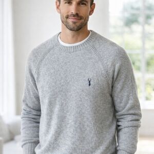 Next Premium Lambswool Crewneck Sweater